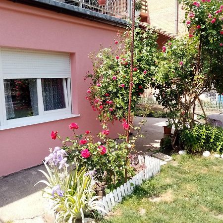 Apartman Vesna Ovcar Banja Exterior foto