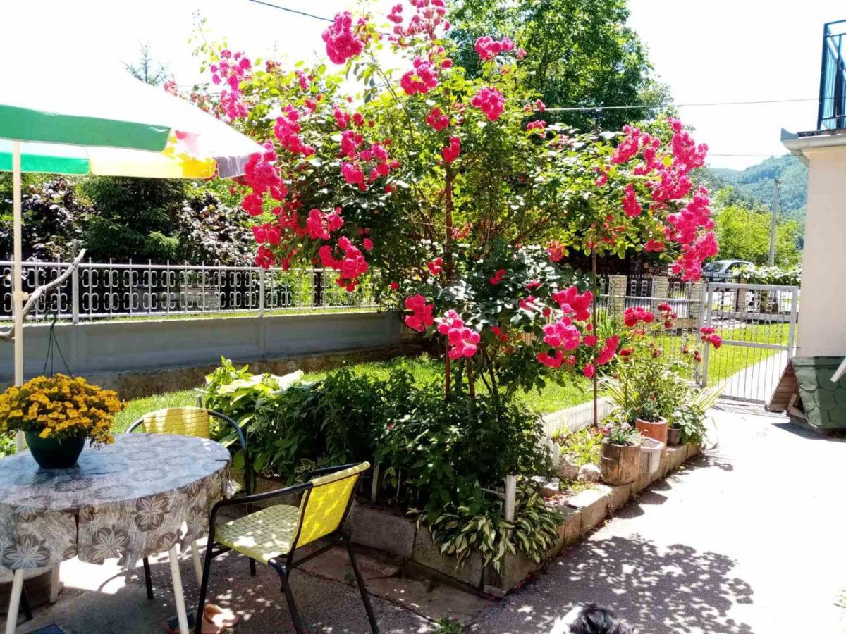 Apartman Vesna Ovcar Banja Exterior foto