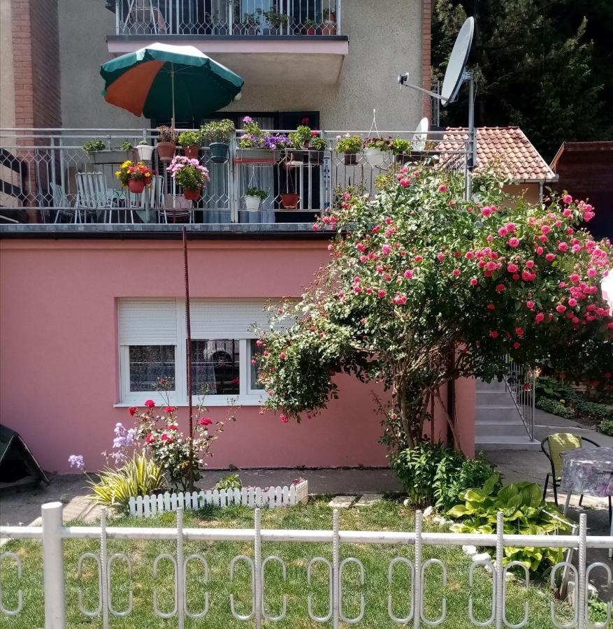 Apartman Vesna Ovcar Banja Exterior foto